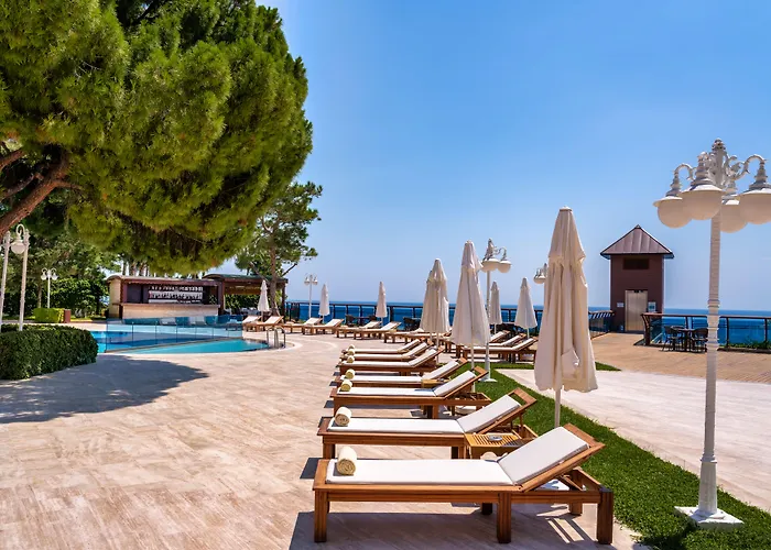 & (adults Only) 5*